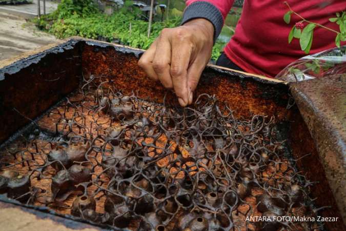 Berdayakan Masyarakat Sekitar Tambang, Adaro Andalkan Program CSR Istana Kalulut