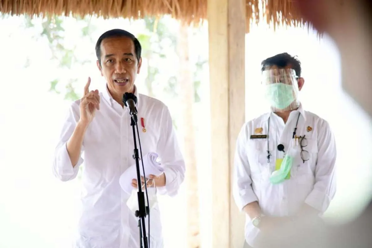 Kemiskinan jadi alasan Jokowi bangun food estate di NTT