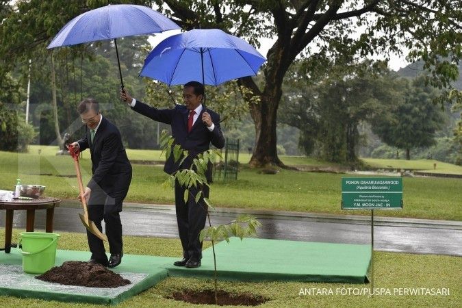 Jokowi payungi Presiden Korsel saat tanam pohon
