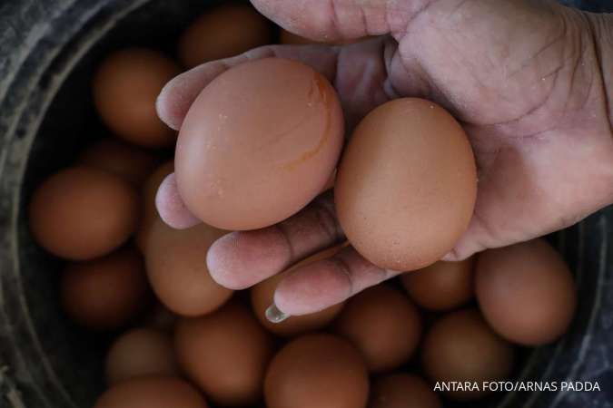 Harga Pangan Campur Aduk, Bapanas Pastikan Stok Beras Aman