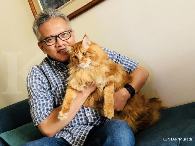 Dari adopsi, Rudi Kamdani kini memelihara belasan ekor kucing