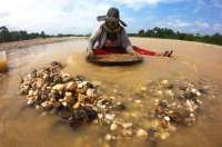 Viral Temuan Logam Mirip Emas Di Sungai Eufrat Suriah, Benarkah Itu Logam Mulia? 