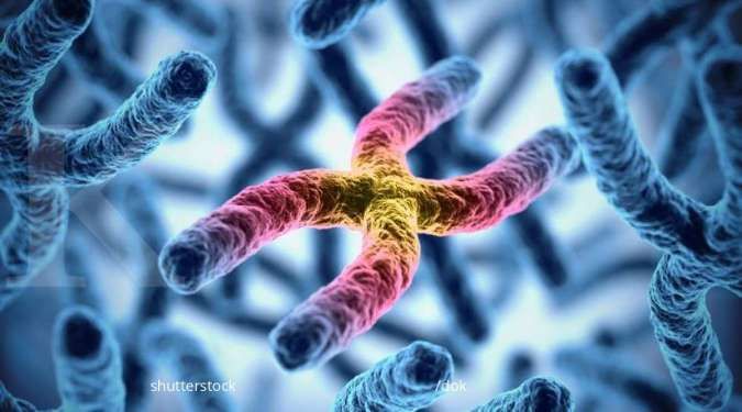 Apa Itu Sindrom Jacob? Kenali Gejala dan Penyebab Sindrom Jacob