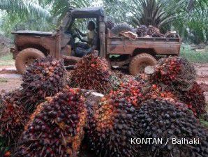 Harga komoditas terjungkal, harga CPO ikut mengekor