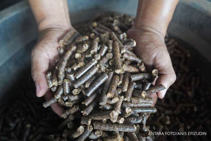 Pengusaha Soroti Black Campaign Wood Pellet, Ungkap Tantangan & Peluang Biomassa