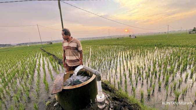 Listrik Masuk Sawah, Produksi Padi Kabupaten Ngawi Menanjak