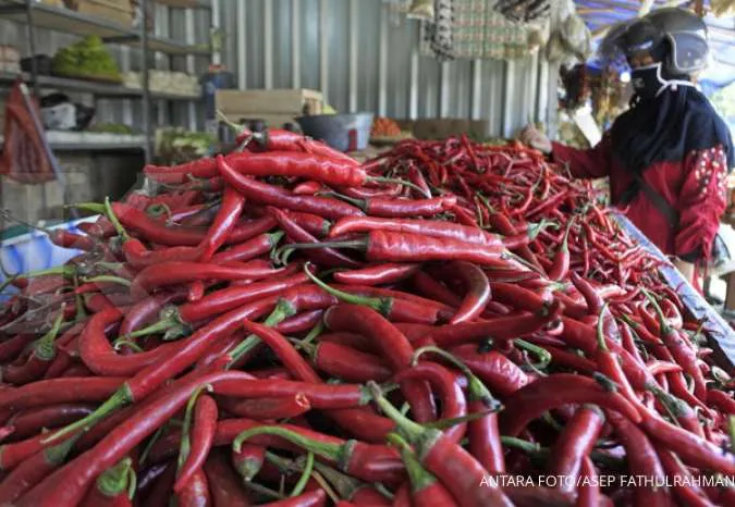 Indonesia June inflation slows to below c.bank target at 1.96%