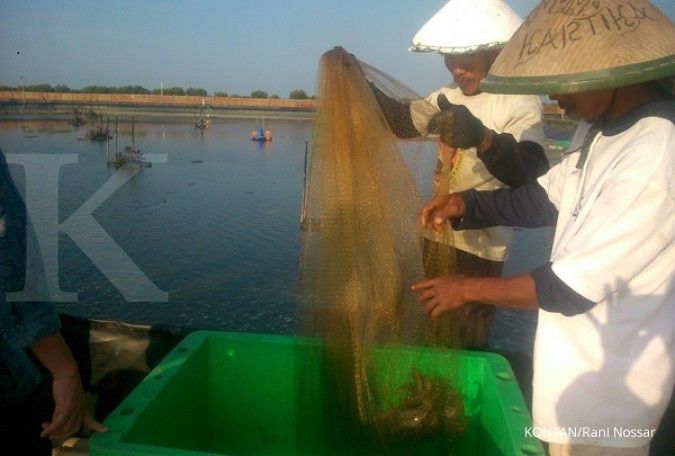 KKP standarisasi produksi pakan ikan mandiri