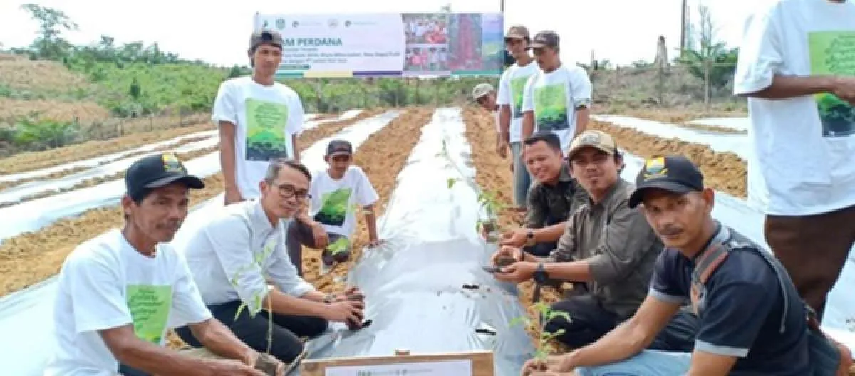 Meski pandemi, Royal Lestari Utama tetap serap produksi karet rakyat