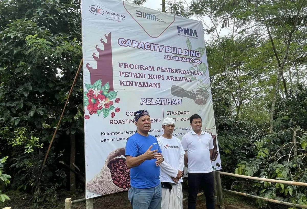 Askrindo Gandeng PNM Tingkatkan Kapasitas Petani Kopi Bali