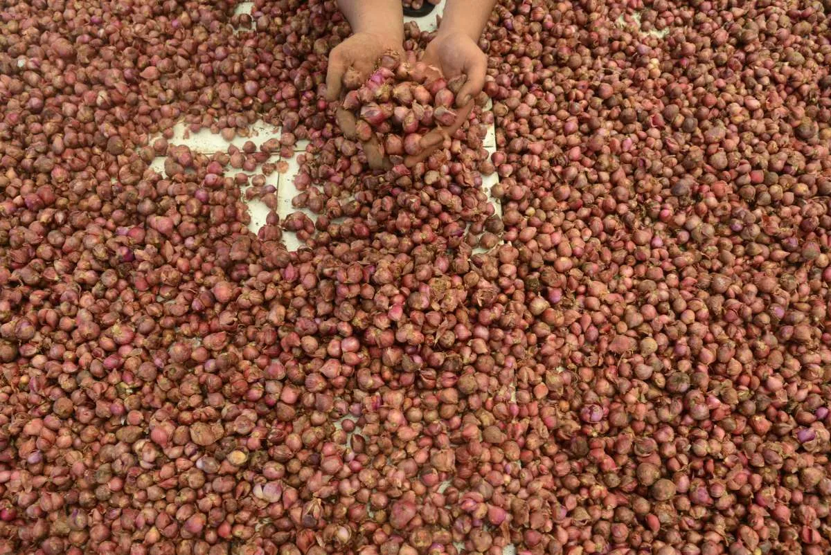 Harga Sejumlah Bahan Pangan Kembali Naik Usai Lebaran