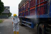 Prospek Cerah Emiten Unggas di Ramadan dan Lebaran 2025, Cek Rekomendasi Sahamnya