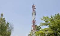 Beban Meningkat, Laba Bersih Tower Bersama Infrastructure (TBIG) Susut 12,73% di 2024
