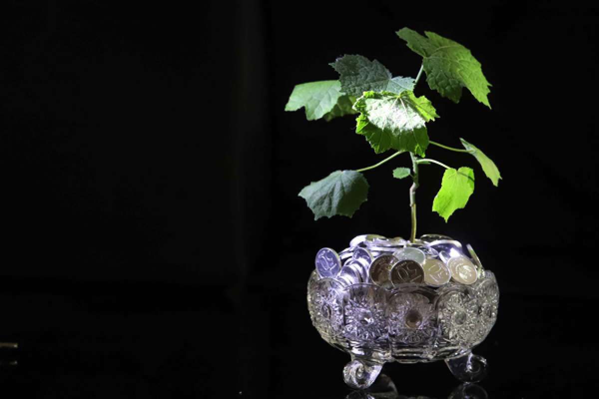 Investor Mulai Tenang, Minat Terhadap Reksadana Makin Membaik