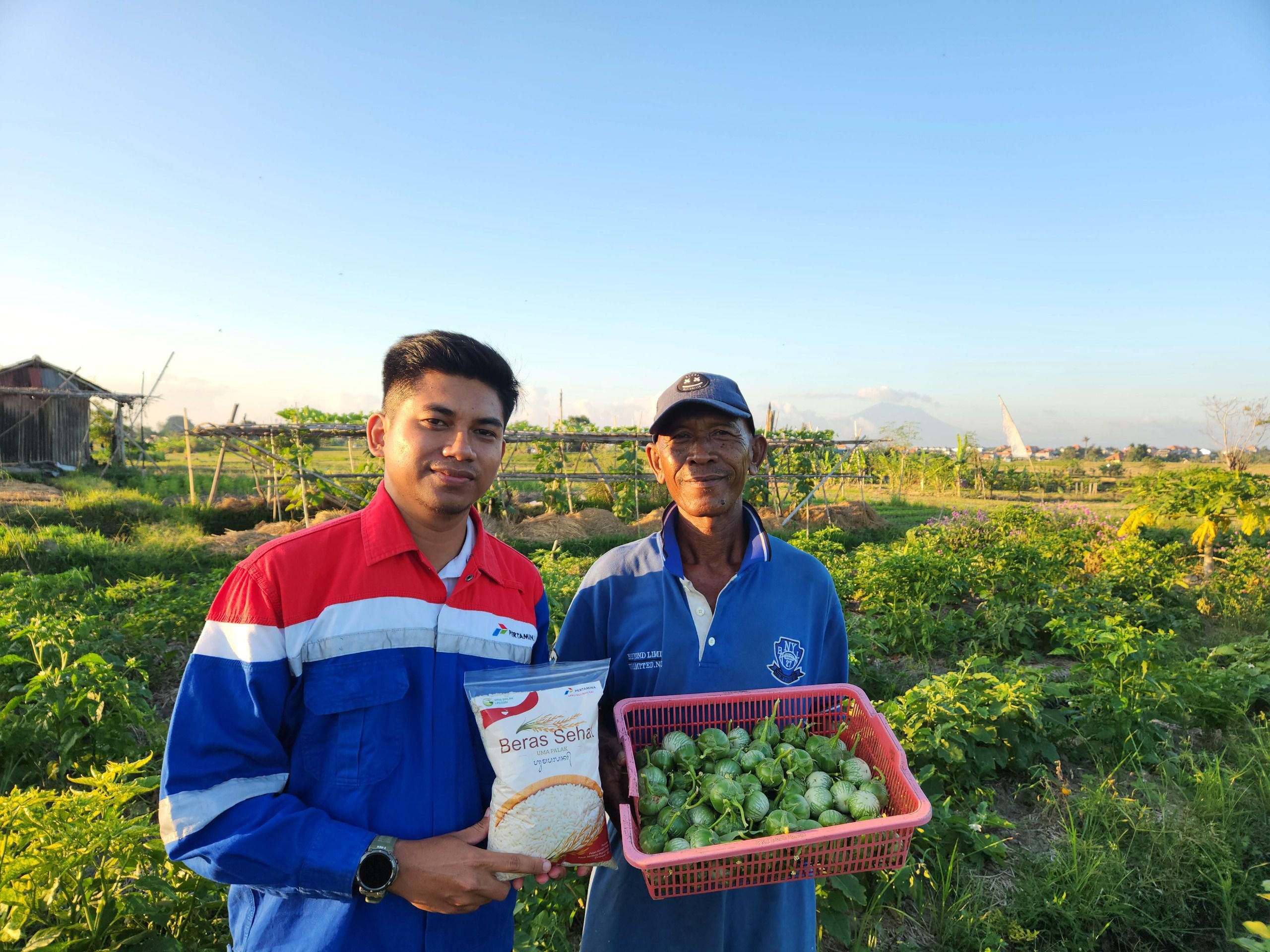 Kontan - PT Pertamina (Persero) Native Online