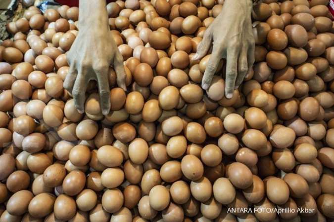 Stabilkan pasokan ayam, pemerintah akan musnahkan 28 juta telur tertunas di Desember