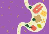 8 Fakta Menarik Sistem Pencernaan Manusia, dari Panjang Usus Hingga Kapasitas Lambung