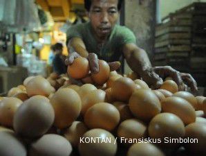 Sebagai penyumbang inflasi, harga telur sudah naik 13,77%