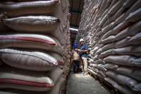 Target 4 Juta Ton: Ini Strategi Bulog Amankan Stok Beras 2026