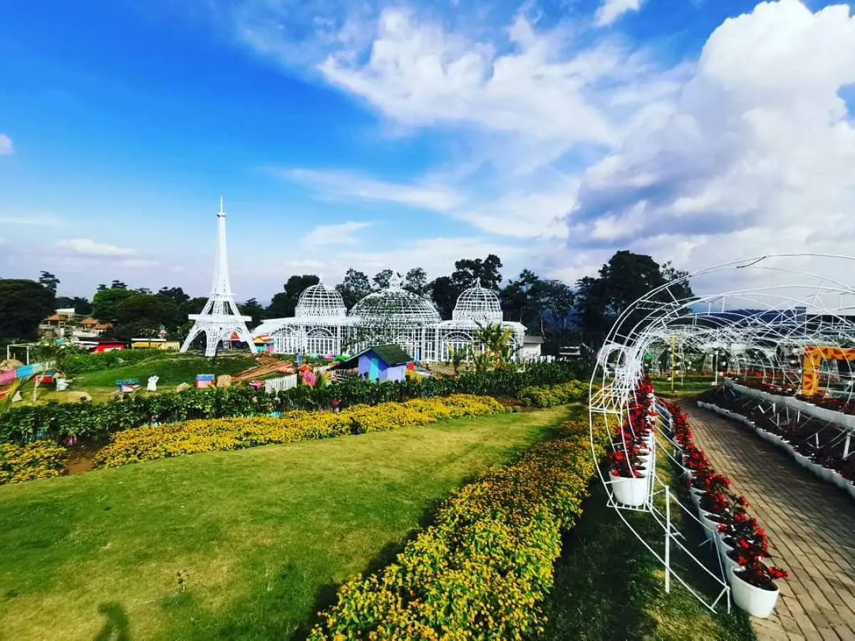 Taman Bunga Celosia, tempat wisata yang punya ratusan jenis bunga hias