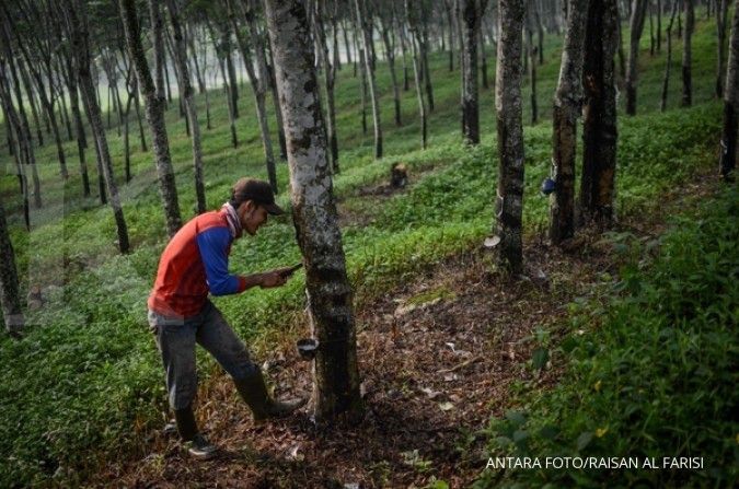Eropa Jegal Ekspor Komoditas Karet dan Kopi RI