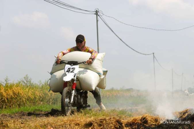 Kerek Produktivitas Padi, Pemkab Ngawi Menggali Pertanian Ramah Lingkungan