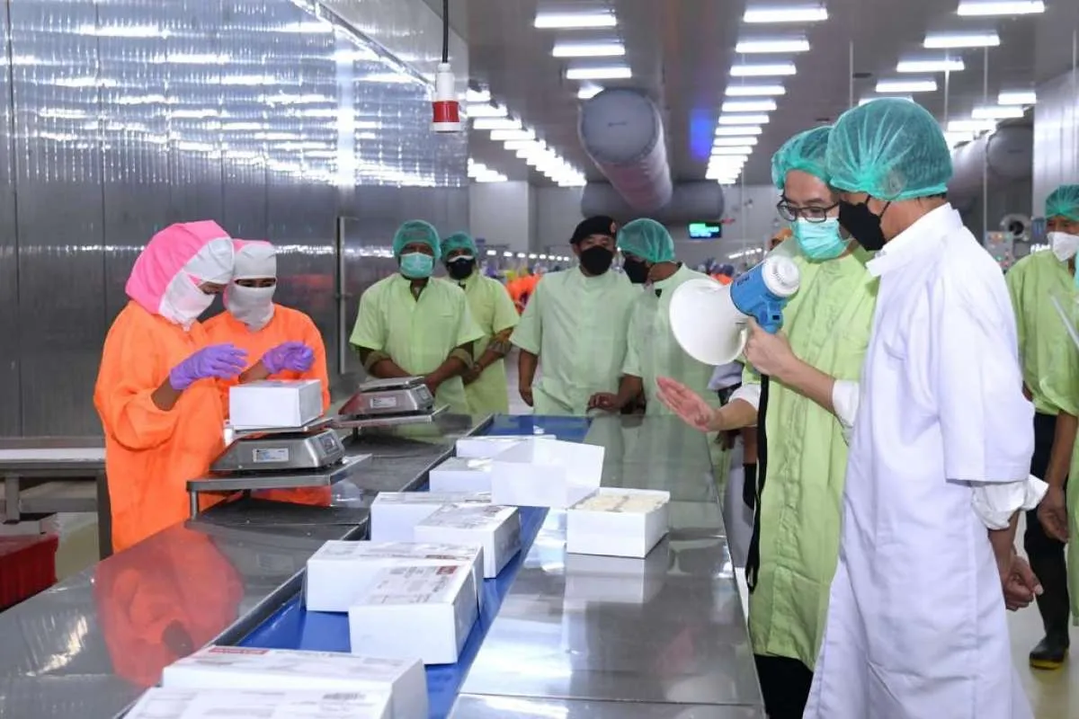 Potensi perikanan besar, Jokowi beri tugas besar kepada menteri KKP