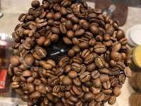 Harga Kopi Dunia Stabil, Pasar Menanti Kejelasan Soal Rencana Keringanan Tarif AS