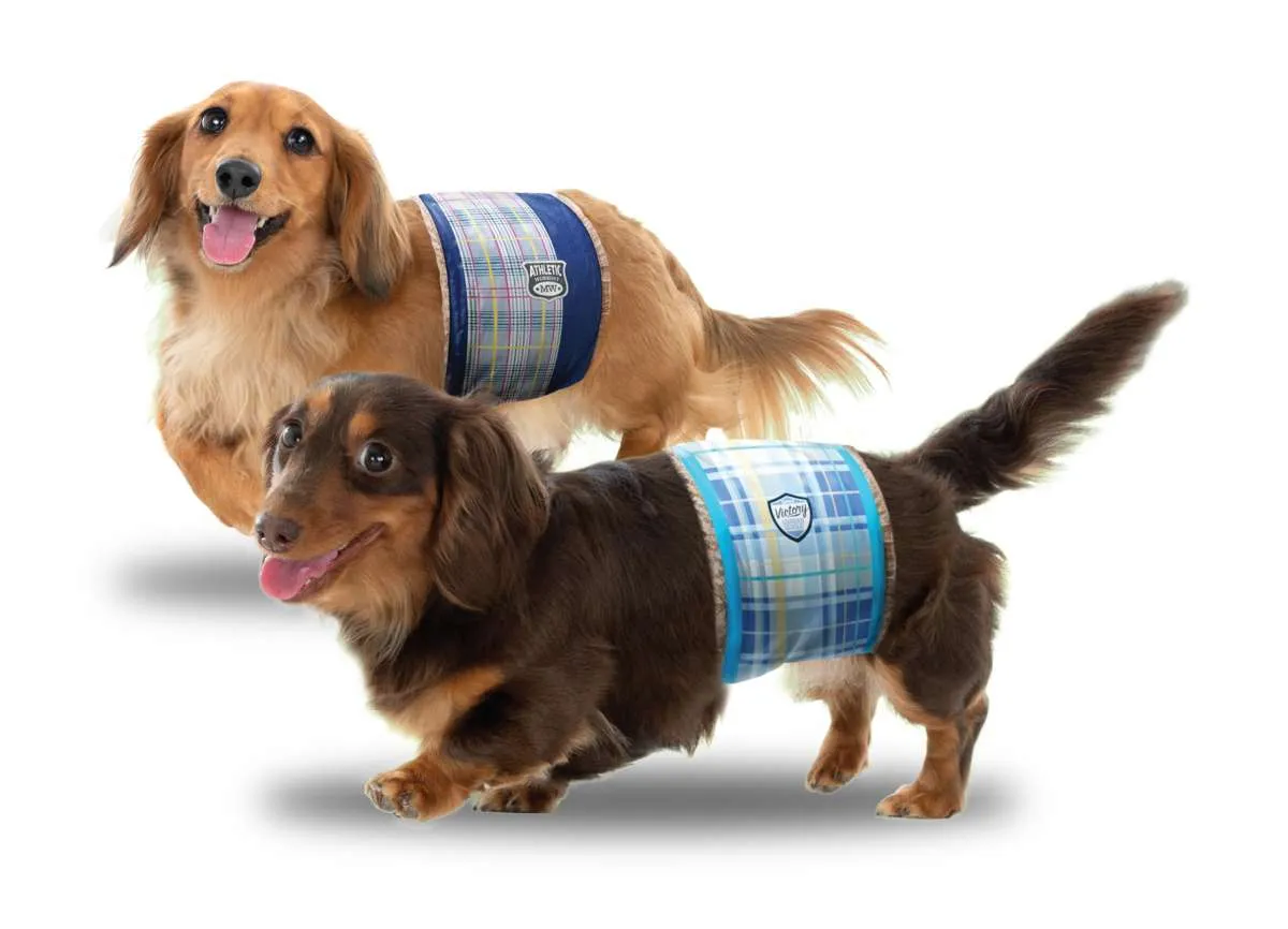 Unicharm Pet Luncurkan Popok Anjing Manner Wear Dukung Simbiosis Manusia & Hewan