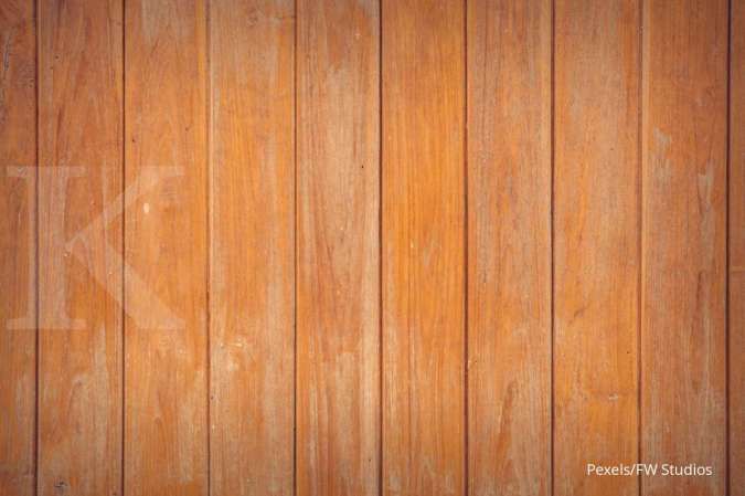 Mengenal Karakteristik Kayu Jati Belanda yang Kokoh dan Tahan Lama