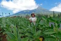 Anggota Komisi IX DPR Janji kawal Rancangan Permenkes yang Atur Produk Tembakau