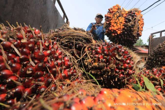 Kebijakan B50 & Regulasi Antideforestasi Eropa Belum Mengusik Ekspor Sawit Indonesia