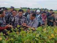 Inovasi Lokal Dorong Kedaulatan Pangan Lewat Kedelai Unggul