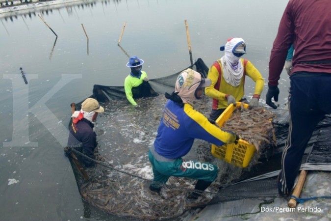 Gandeng Pertamina, Perum Perikanan Indonesia bangun kemitraan petambak udang
