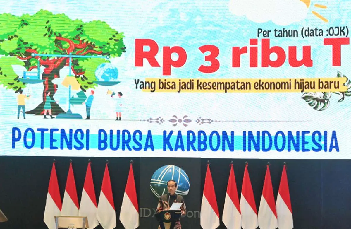 Apindo Ungkap Potensi Bisnis Perdagangan Karbon