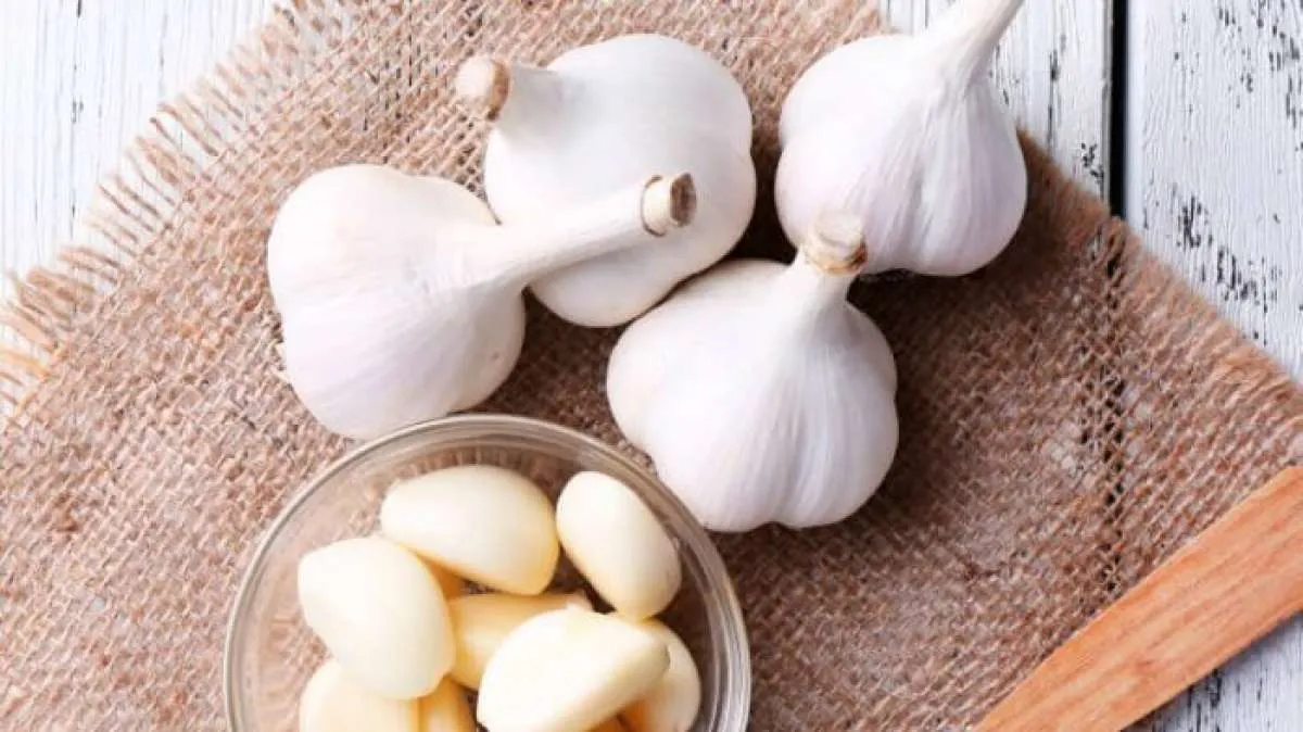Ini 4 bahan alami yang cocok dijadikan obat sakit gigi