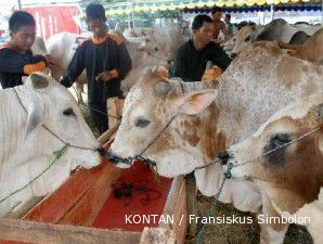 Kemendag wajibkan importir ternak terdaftar sebelum 1 Oktober 2011