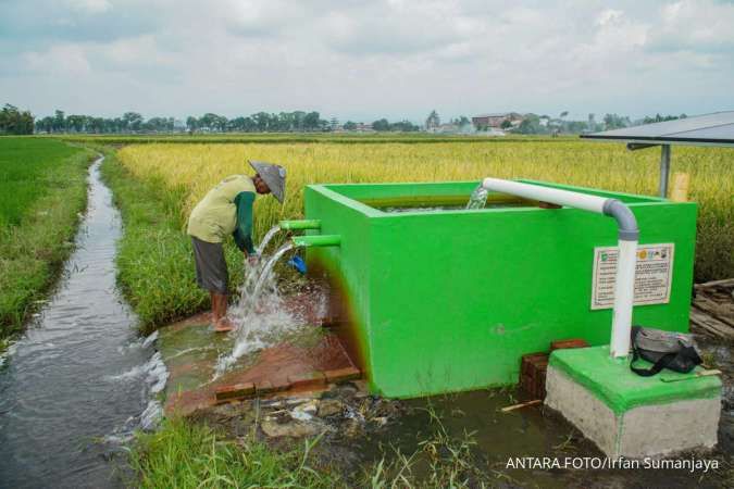 Menko Pangan Targetkan Inpres Perbaikan Irigasi Sawah Terbit Pekan Depan