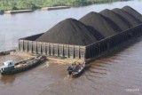 Kadin dan Apindo Soroti Kontraksi Sektor Tambang pada Kuartal I-2026
