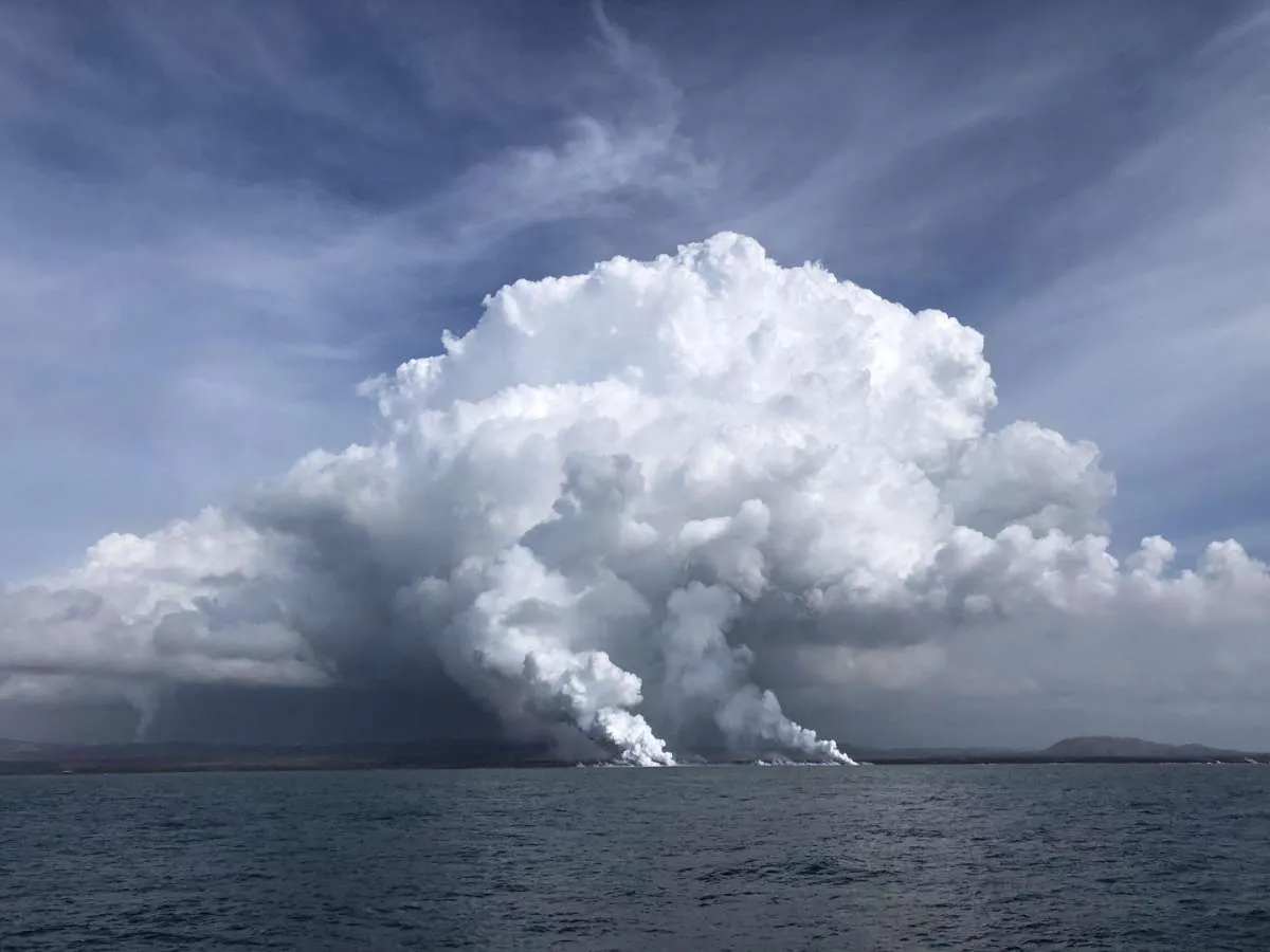 Lava gunung Kilauea picu perkembangan fitoplankton Hawaii