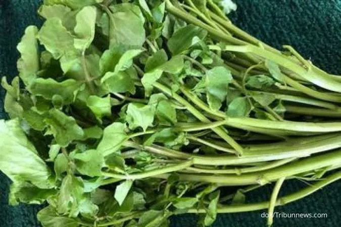 5 Manfaat Sayur Jukut yang Luar Biasa: Pencernaan Lancar, Kuatkan Imunitas