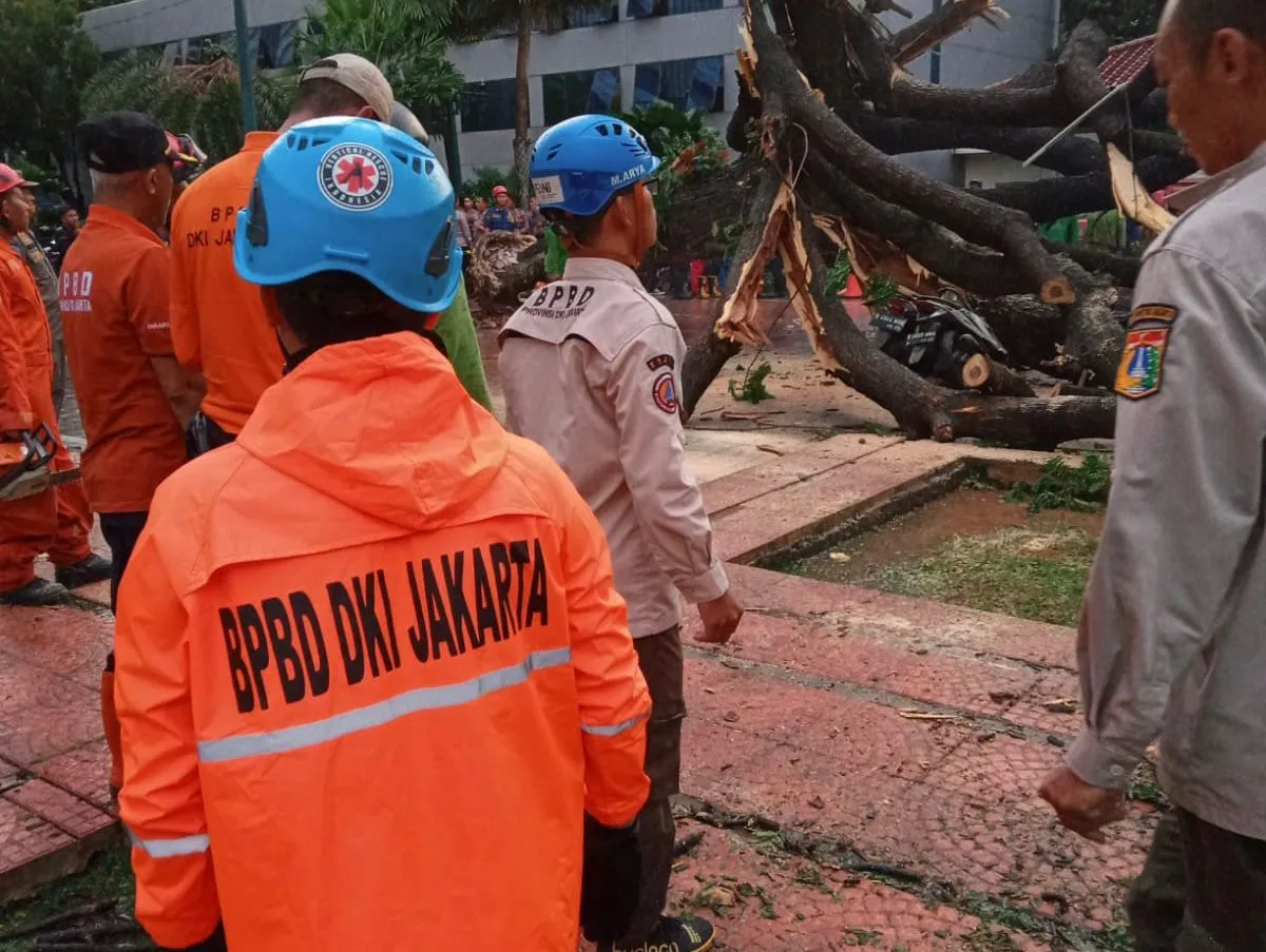 Prakiraan Cuaca Ekstrem di DKI Jakarta, BPBD Mengimbau Masyarakat Waspada