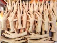 Apakah Ceker Ayam Mengandung Kolesterol atau Tidak? Cari Tahu di Sini