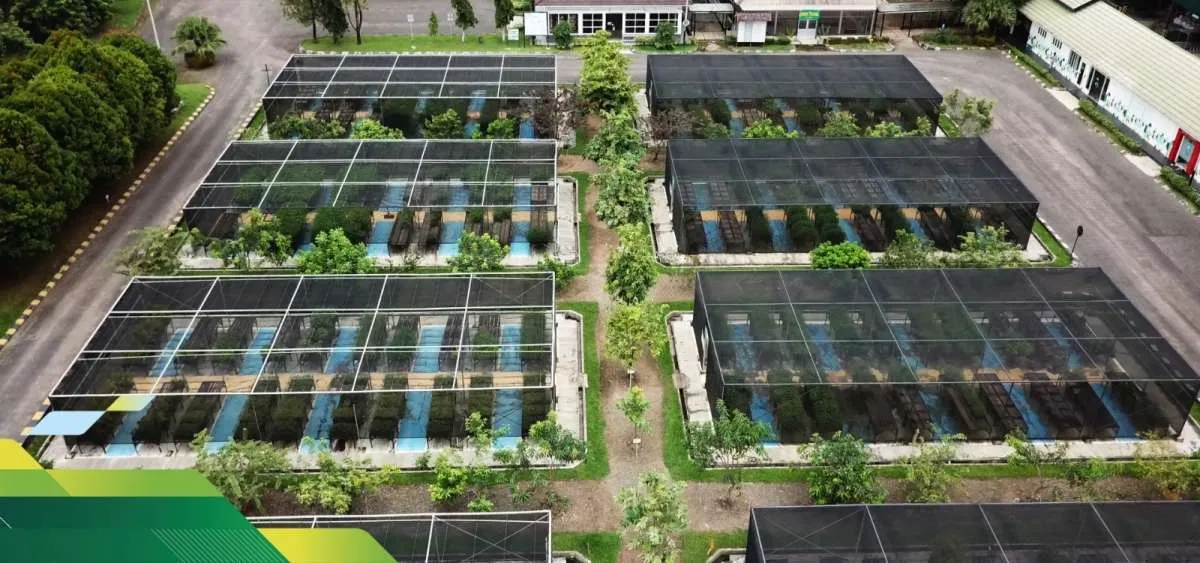 Di Tengah Tekanan Industri, Adaro Jaga Standar Lingkungan dengan PROPER Emas