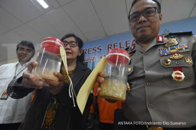 Stafsus Menteri Kelautan: Kalau benur punah, sejarah akan menghukum Edhy Prabowo