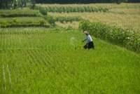 Dorong Regenerasi Petani, Kementan Jalin Kerja Sama dengan Pemkab Banjar