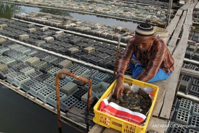 KKP targetkan produksi 17,9 ton perikanan budidaya