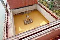 Indonesia Akan Setop Impor Jagung Tahun 2026