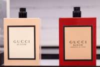 Gucci Lampaui Ekspektasi, Saham Kering Naik di Tengah Lesunya Industri Barang Mewah