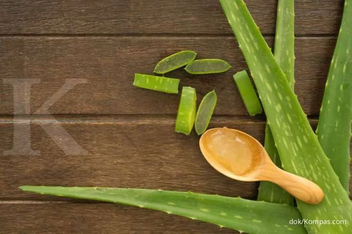 Rekomendasi 5 cara menghilangkan panu dengan bahan alami